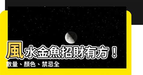 金魚數量 去霉運的方法